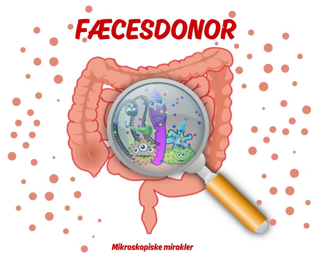 Illustration af tarm med lup, der viser bakterier – kampagne for fæcesdonor i Odense.